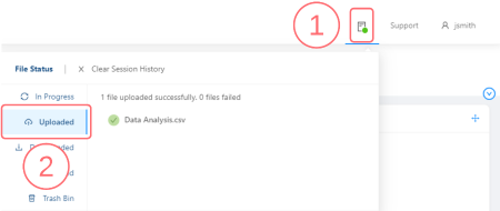 VRE UI Diagrams for User Manual - File Upload Status.png
