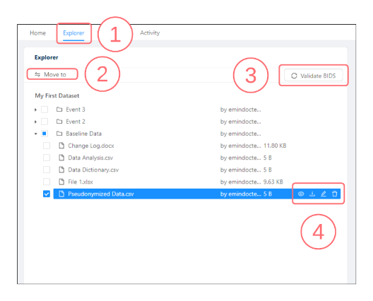 VRE UI Diagrams for User Manual - Datasets - Dataset Explorer V2.png